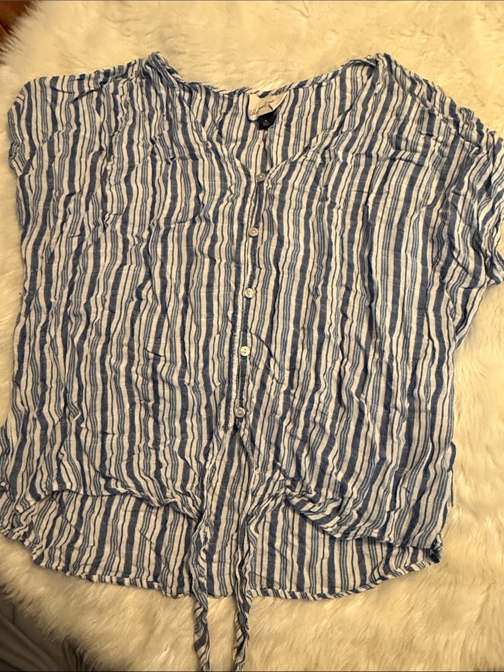 Blue and White Striped Button-Front Tie-Hem Blouse
